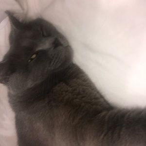 Meet your Posher, Casey